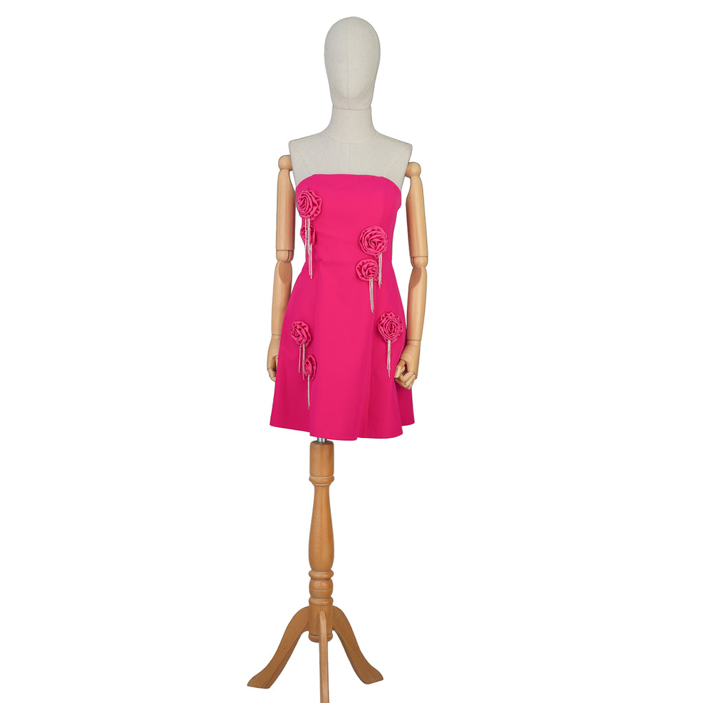 Hot Pink Mini Dress with 3D Roses and Crystal Fringe