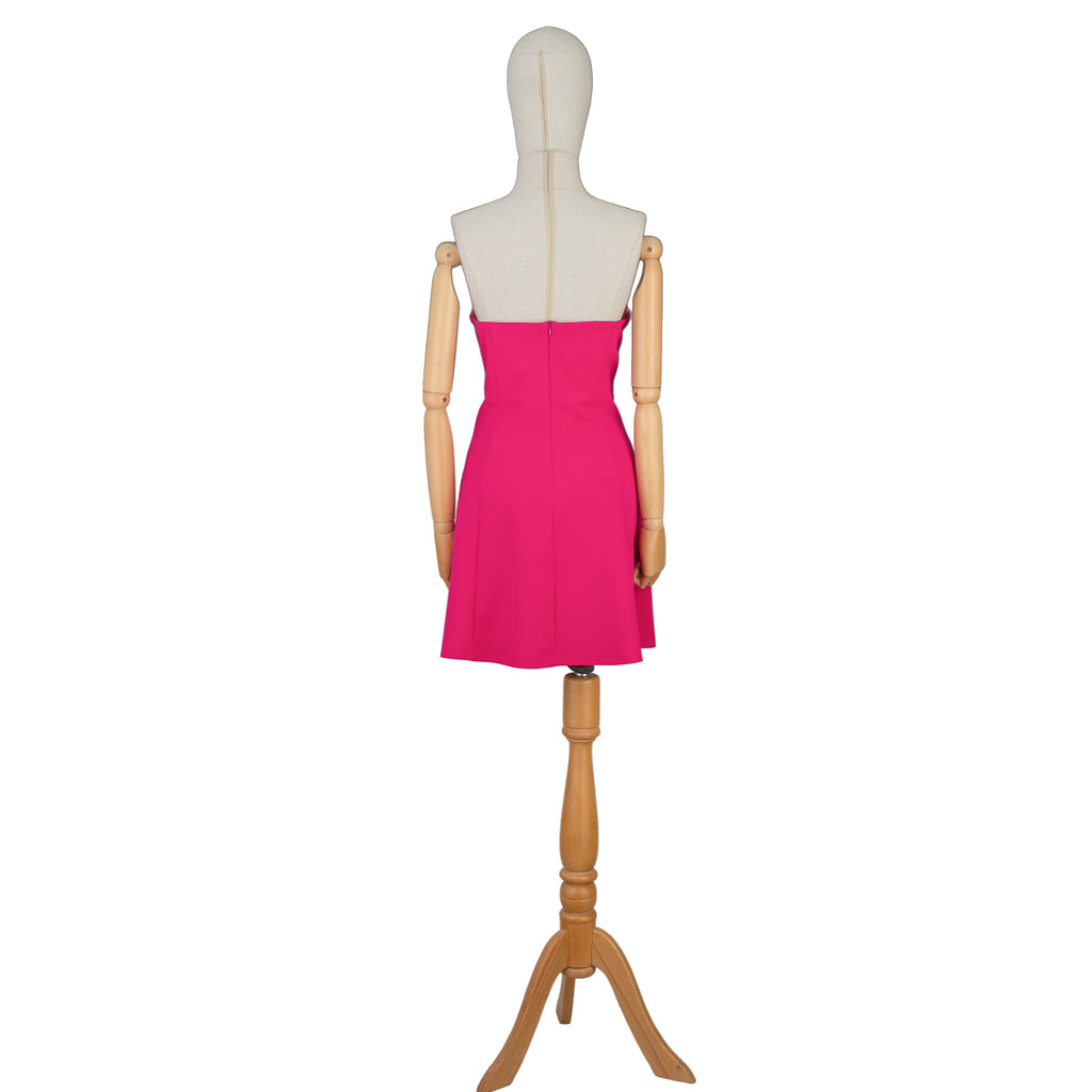 Hot Pink Mini Dress with 3D Roses and Crystal Fringe