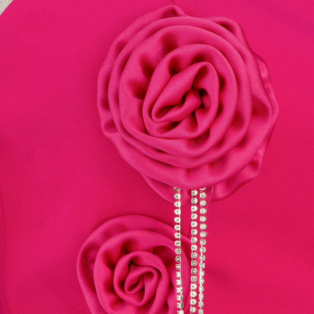 Hot Pink Mini Dress with 3D Roses and Crystal Fringe